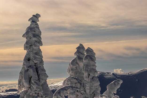 Места, важные для прохождения и исследования