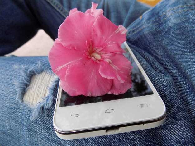 Основы игры: как начать и освоиться в Sakura Clicker