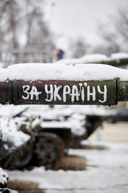 Развитие сообщества и первые турниры